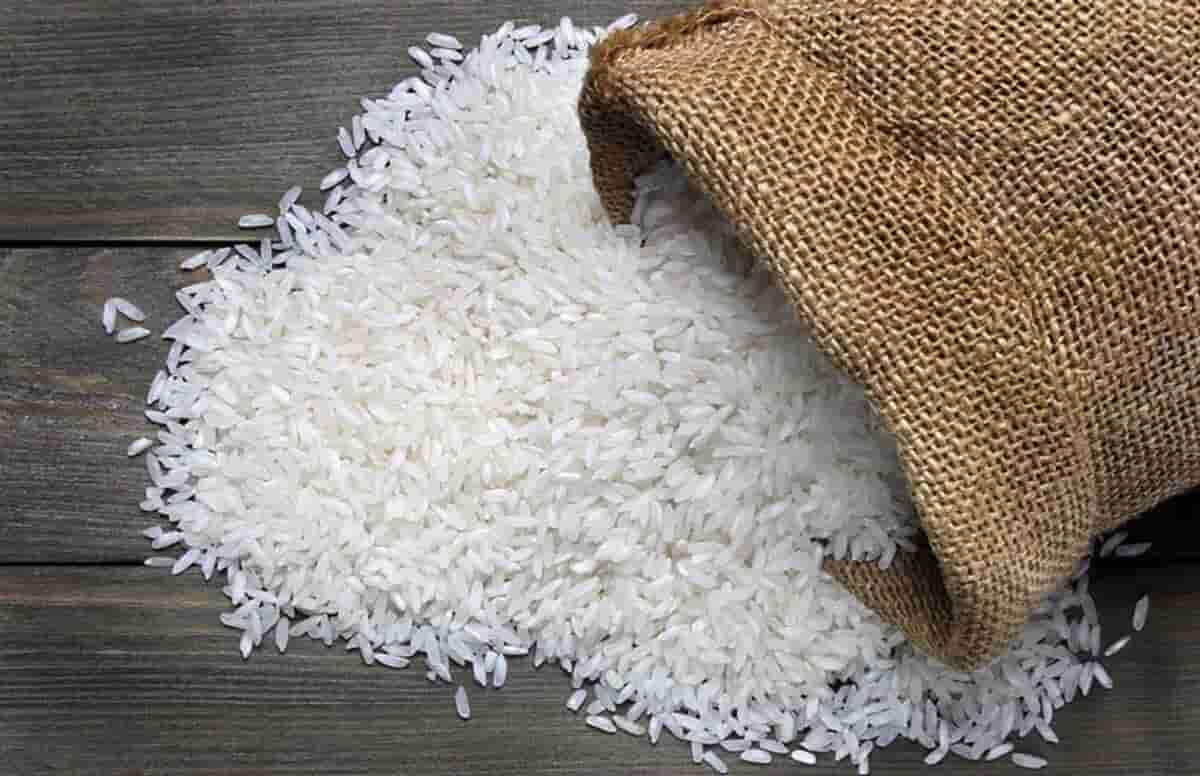 خرید برنج ایرانی خوب + قیمت فروش استثنایی